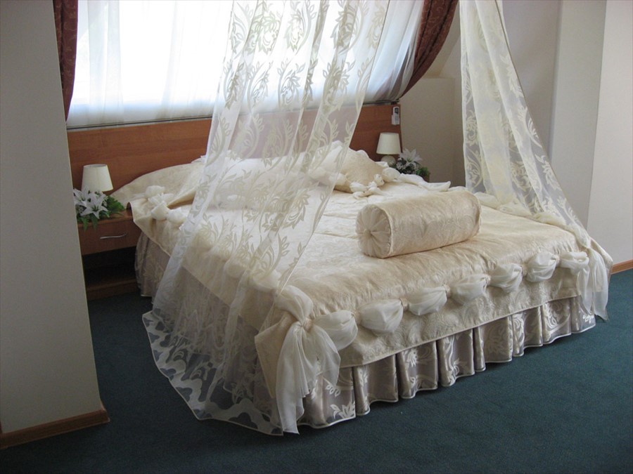 Фото Колибри