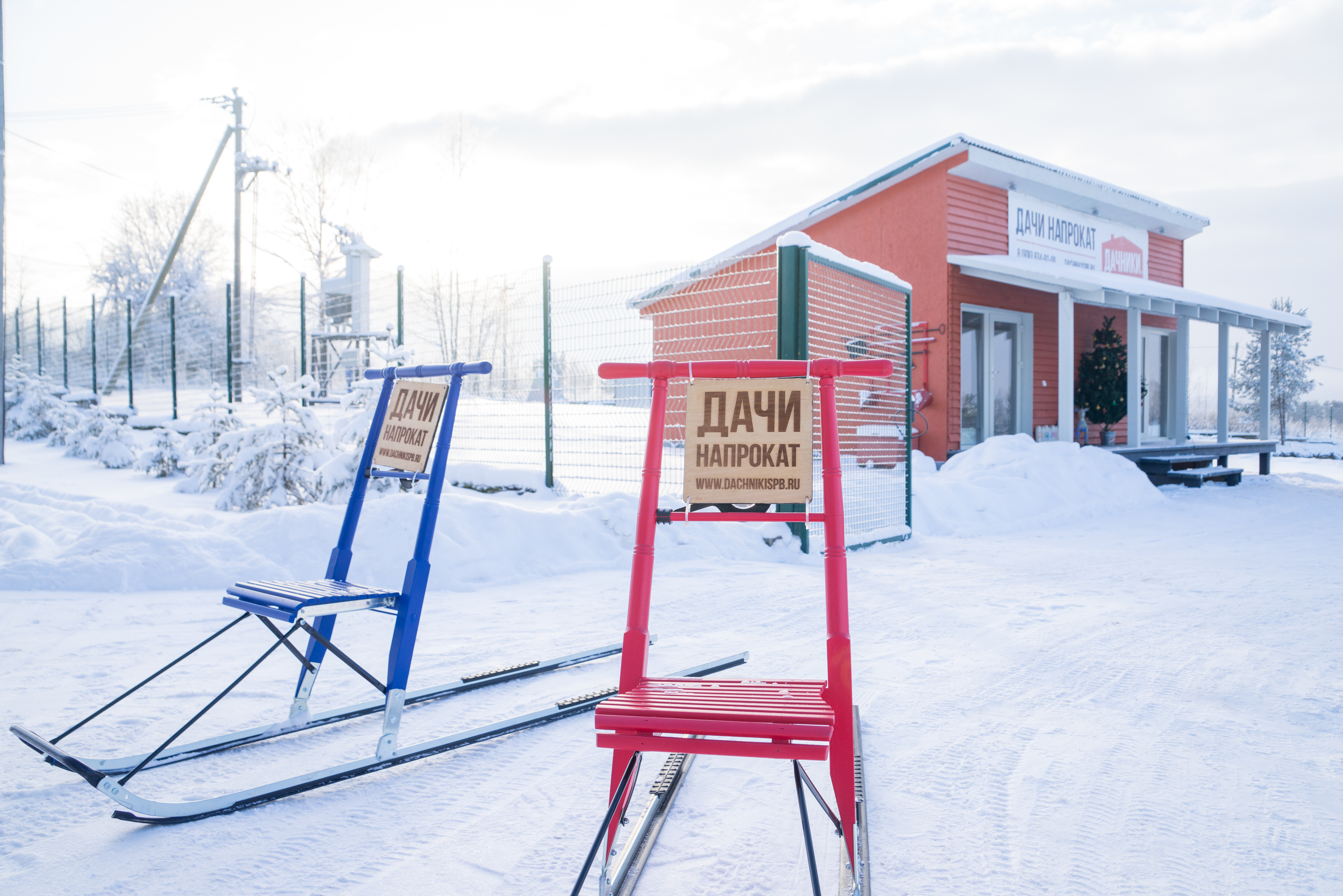 Фото Дачники