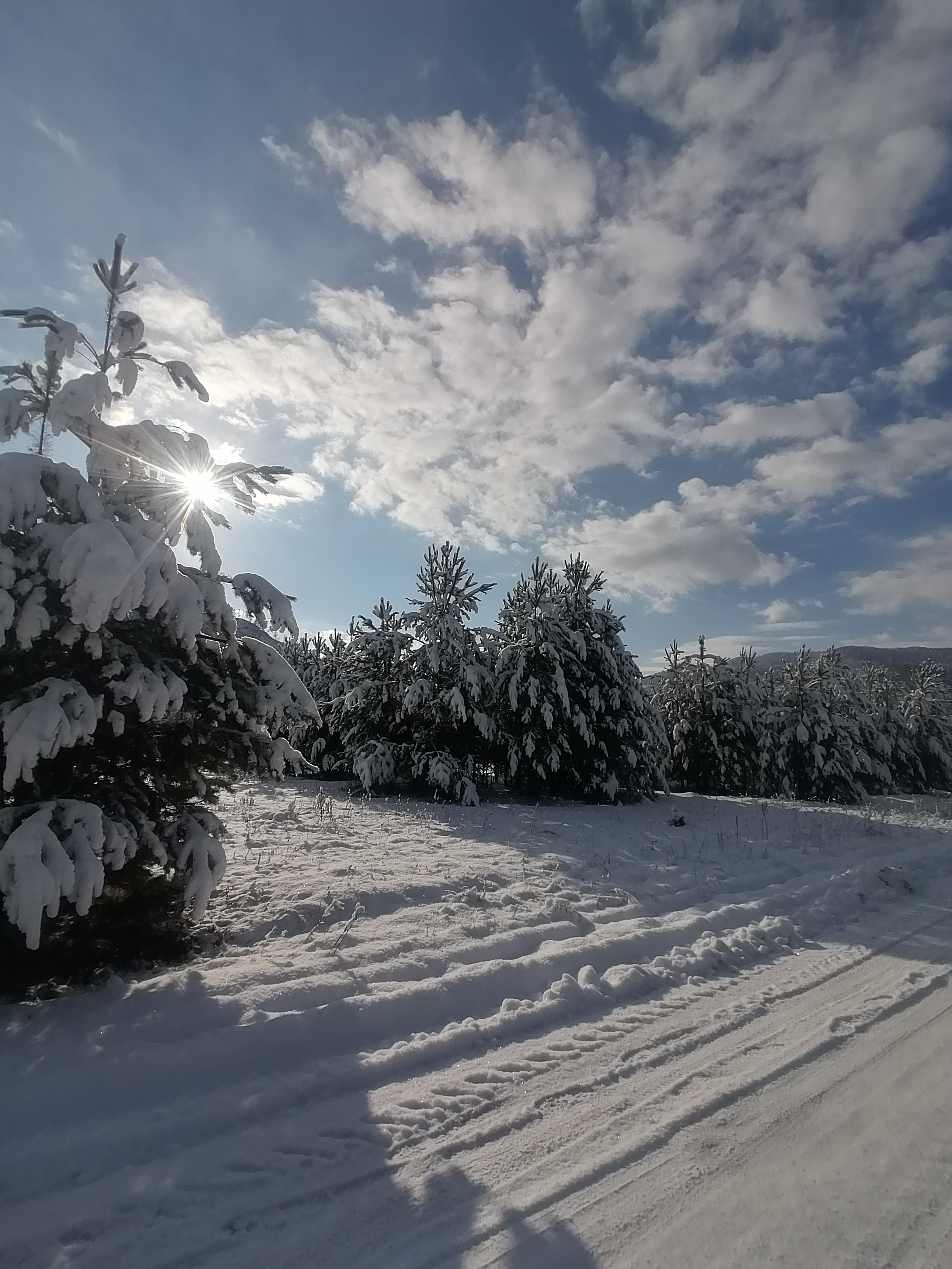 Фото Усадьба Чикмаревых