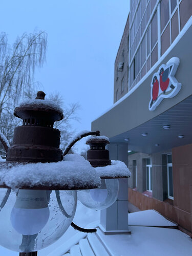 Гостиница Снегири в Нижнекамске
