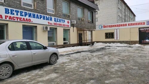 Ветеринарная клиника Ветеринарный центр на Гастелло, Тюмень, фото