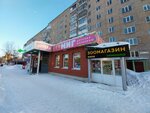 Tigrenok (Truda Street, 48), logopedas