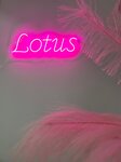 Lotus (ул. Красного Маяка, 15), ногтевая студия в Москве