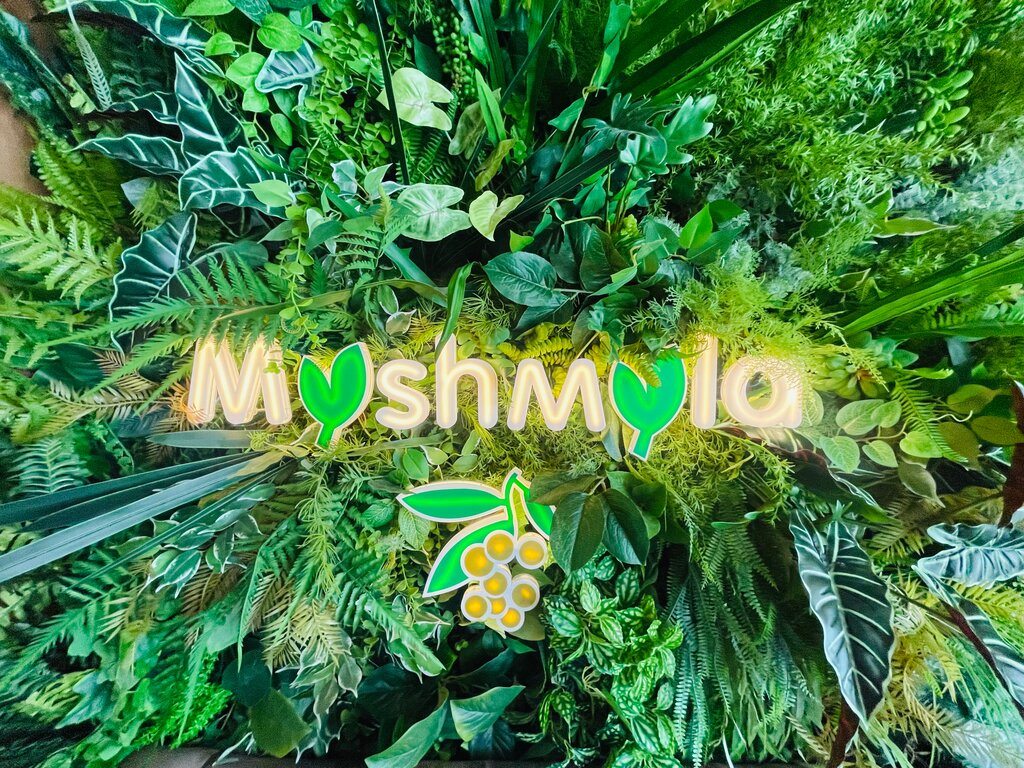 Restaurant Myshmyla, Sochi, photo