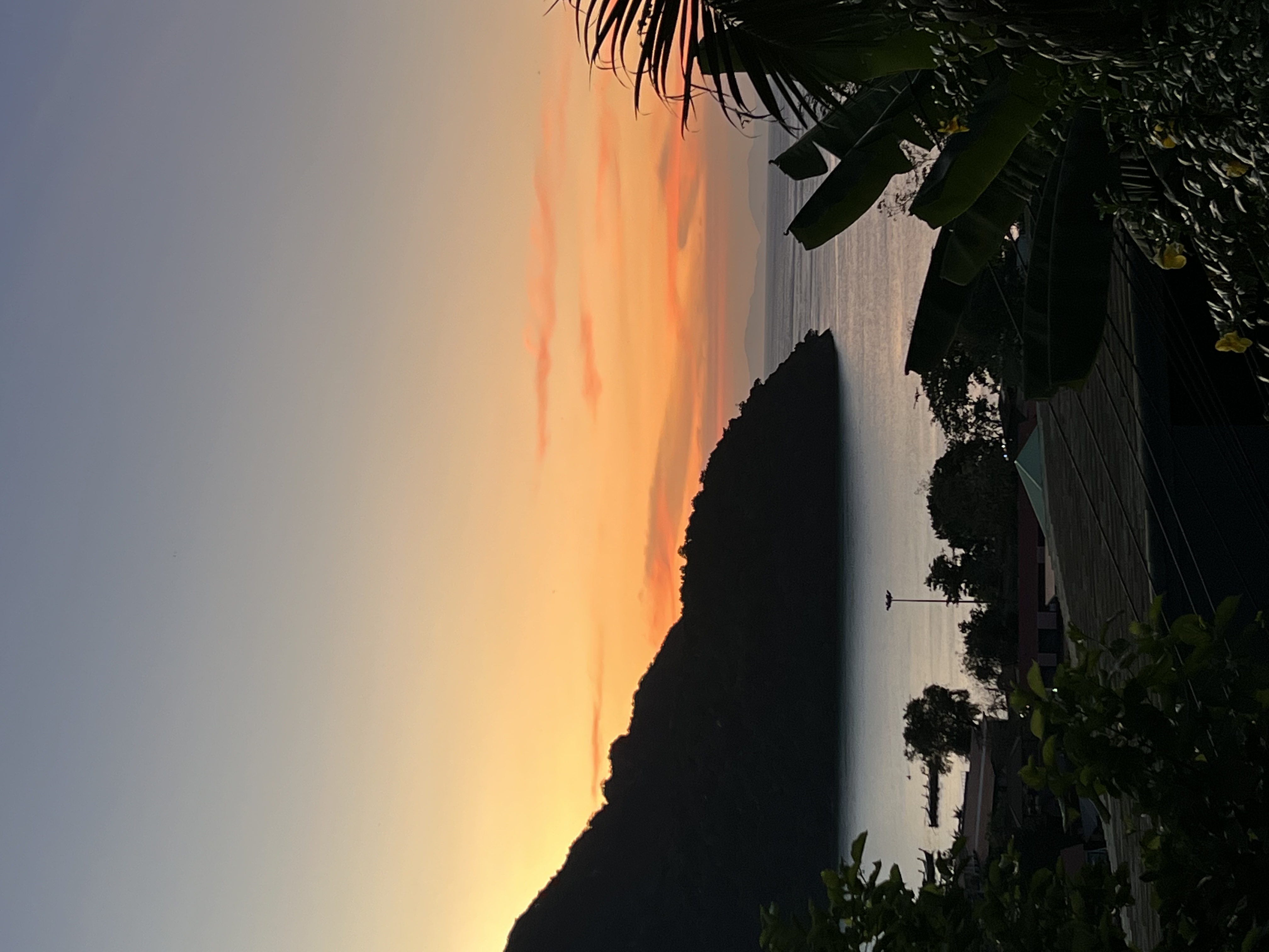 Фото Phi Phi Arboreal Resort