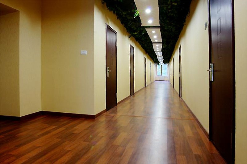 Фото Мечта Тея