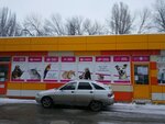 Kotopes64 (Astrakhanskaya ulitsa, 22/36А), pet shop