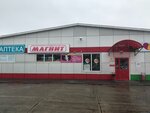 Magnit (Kostromskaya Street, 46), tienda de productos