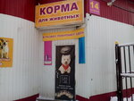 Зоомагазин (ул. Салтыкова-Щедрина, 14, Калуга), зоомагазин в Калуге