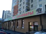 Альф (Социалистический просп., 59), зоомагазин в Барнауле