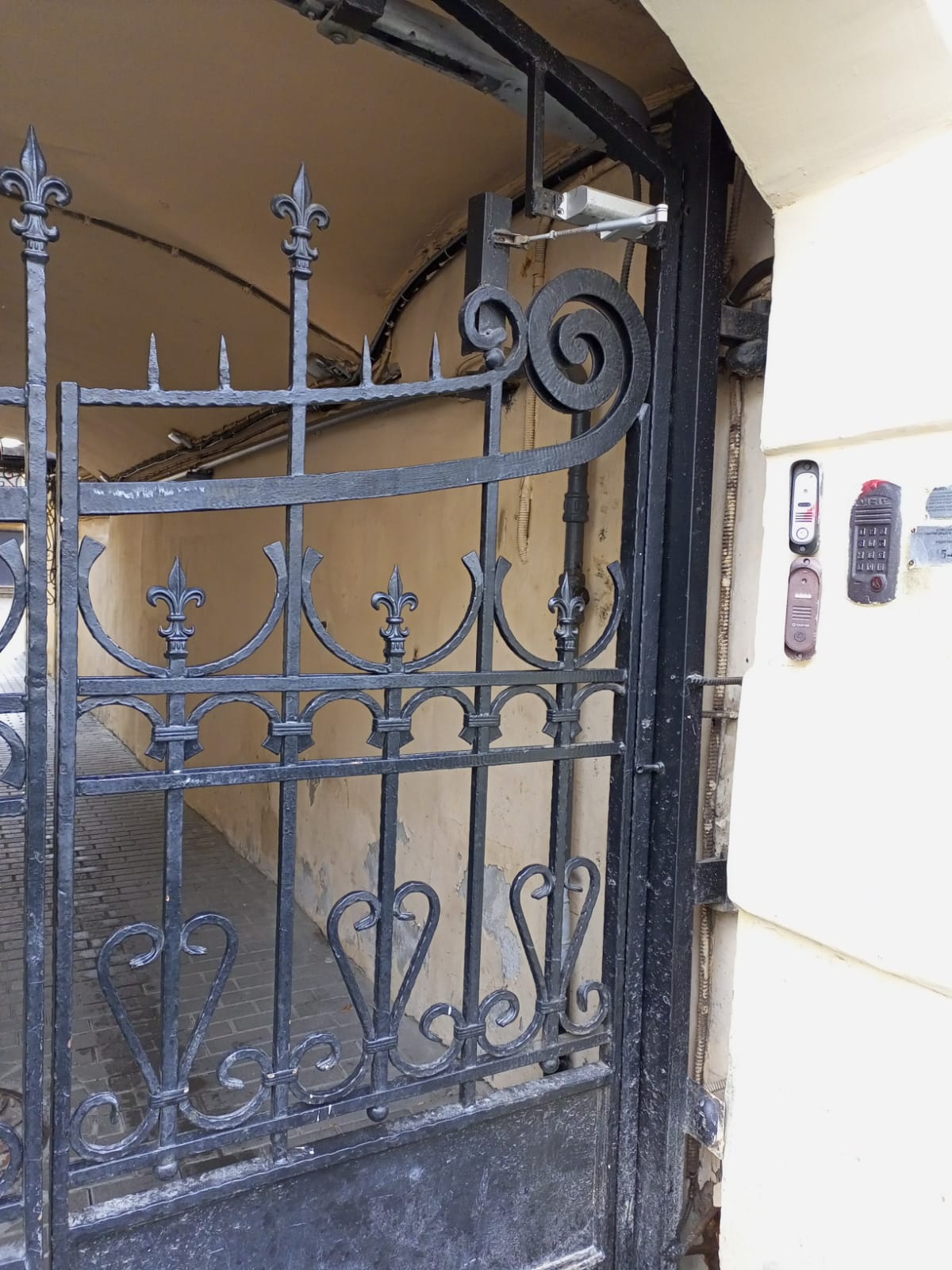 Фото Аврора