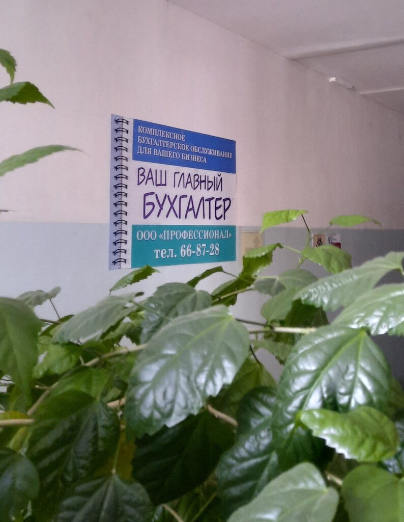 Servicios de contabilidad Бухгалтерская фирма Профессионал, , foto