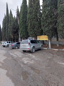 Автопарк (Россия, Алушта, улица Ленина, 116А), canteen