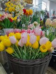 Искусственные растения и цветы (ulitsa Lenina, 91), artificial plants and flowers