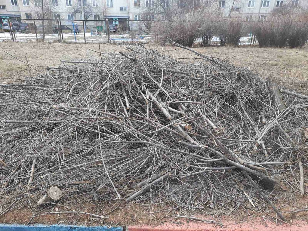 Waste management Clean Edge, Krasnoyarsk, photo