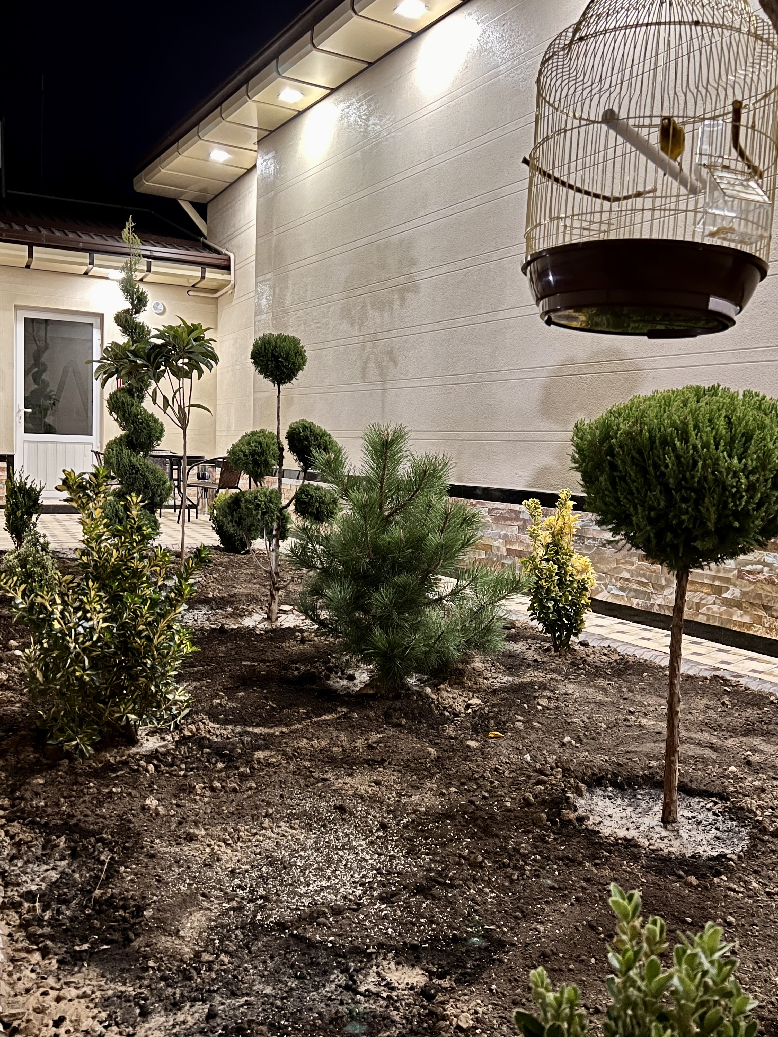 Фото Bristol Hotel Tashkent