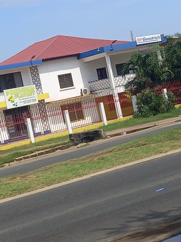 Tires and wheels BF Goodrich, Earth, photo