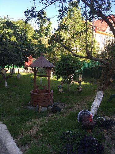 Гостевой дом Лилия  фото 2