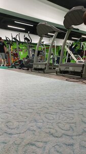 Рельеф (Zarinsk, ulitsa Taratynova, 6), fitness club