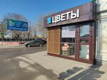 Магазин Цветы (ulitsa imeni N.G. Chernyshevskogo, 15А), flower shop