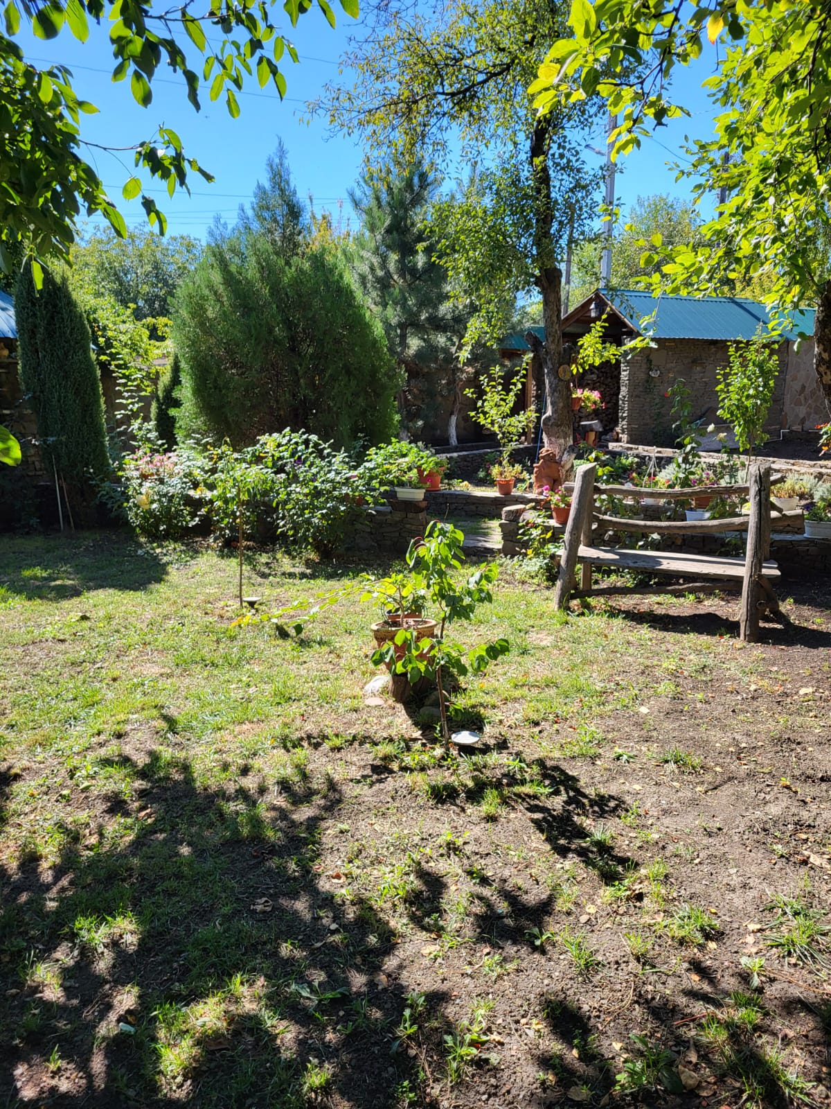 Фото Сказка