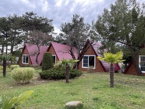 Лунная поляна