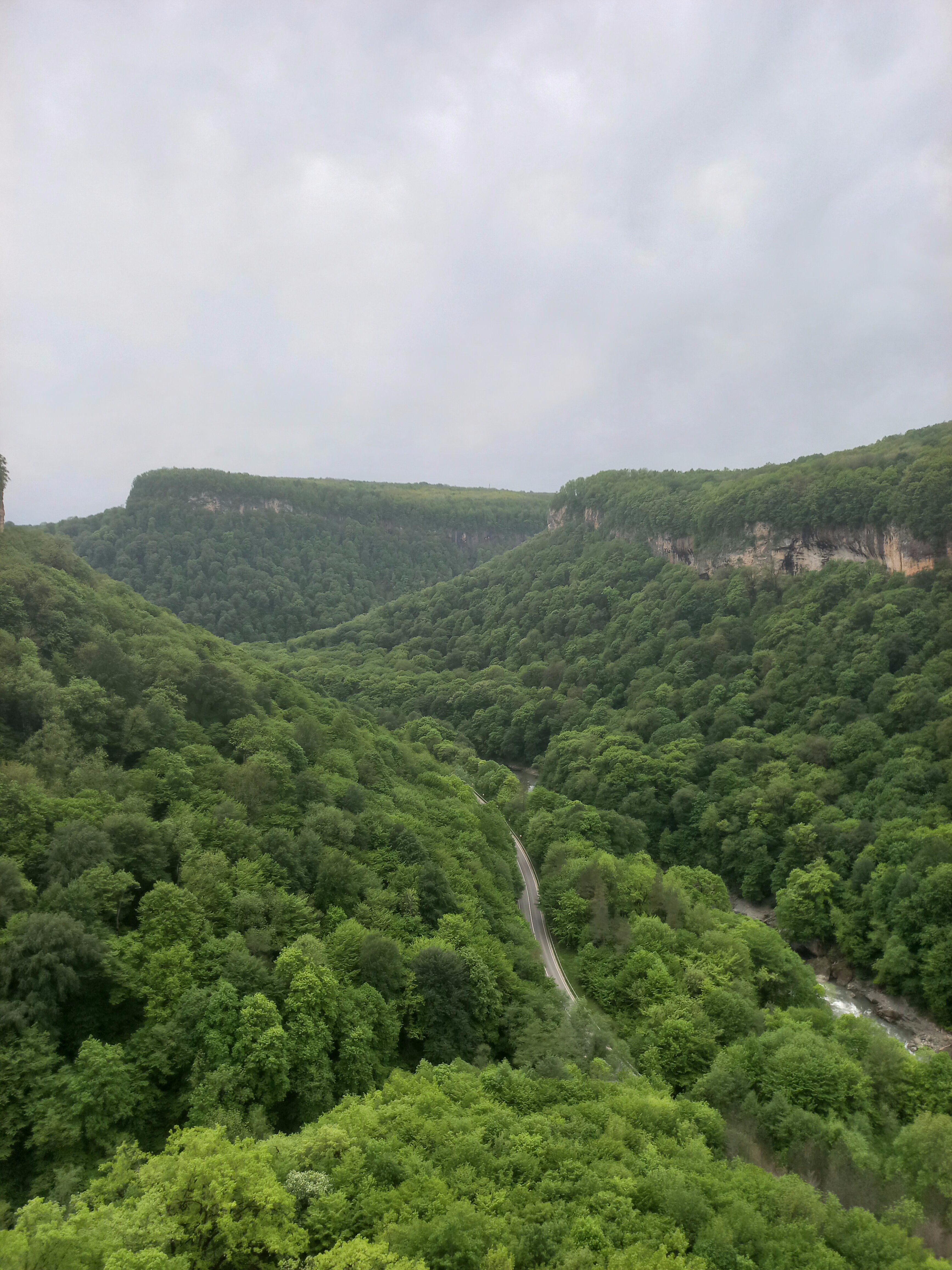 Фото Господин Постоялец