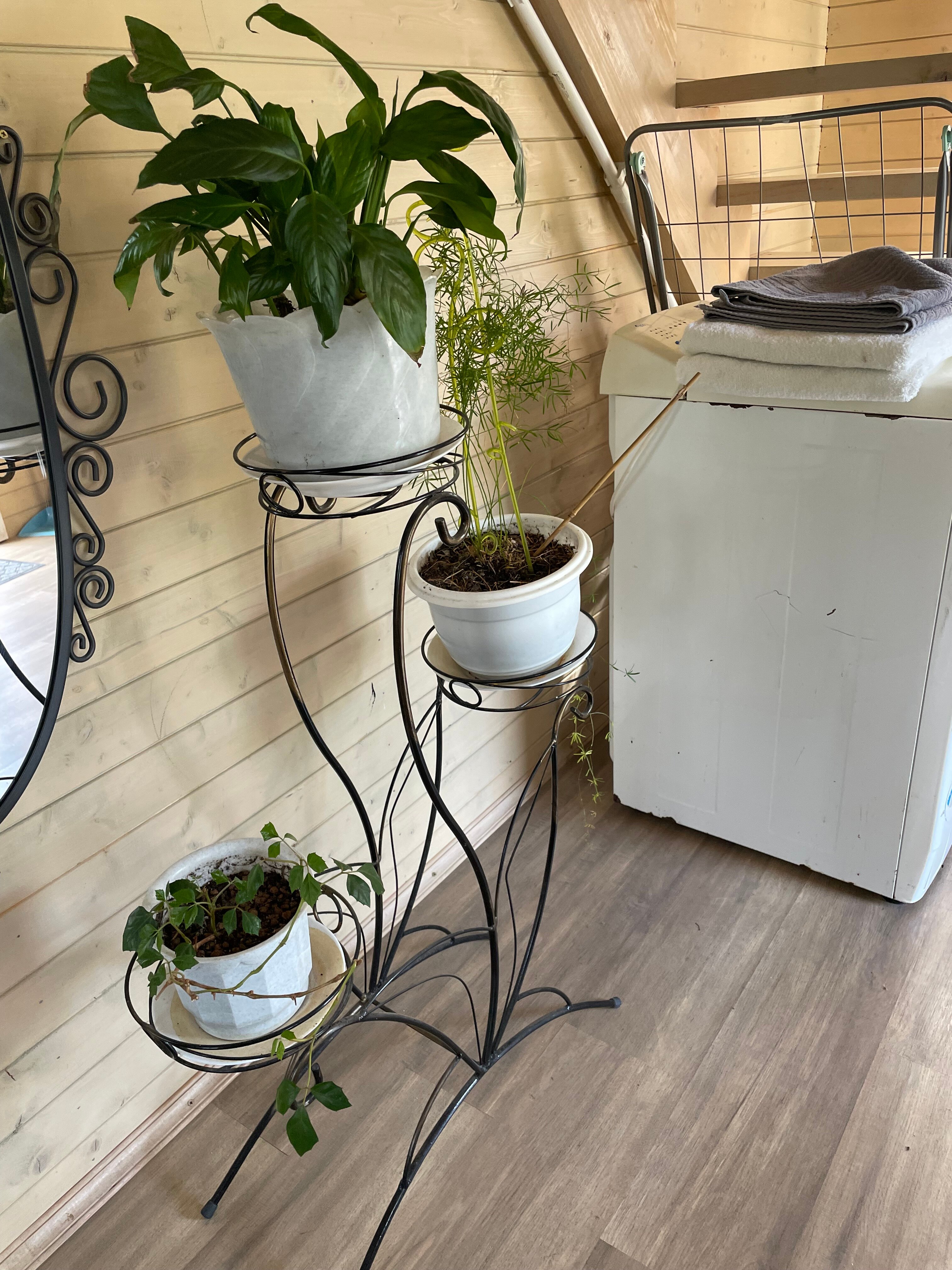 Фото Dream House