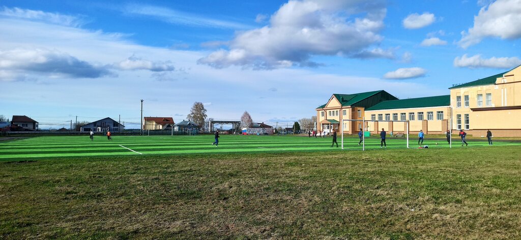 Stadium Lokomotiv Stadium, Tayga, photo