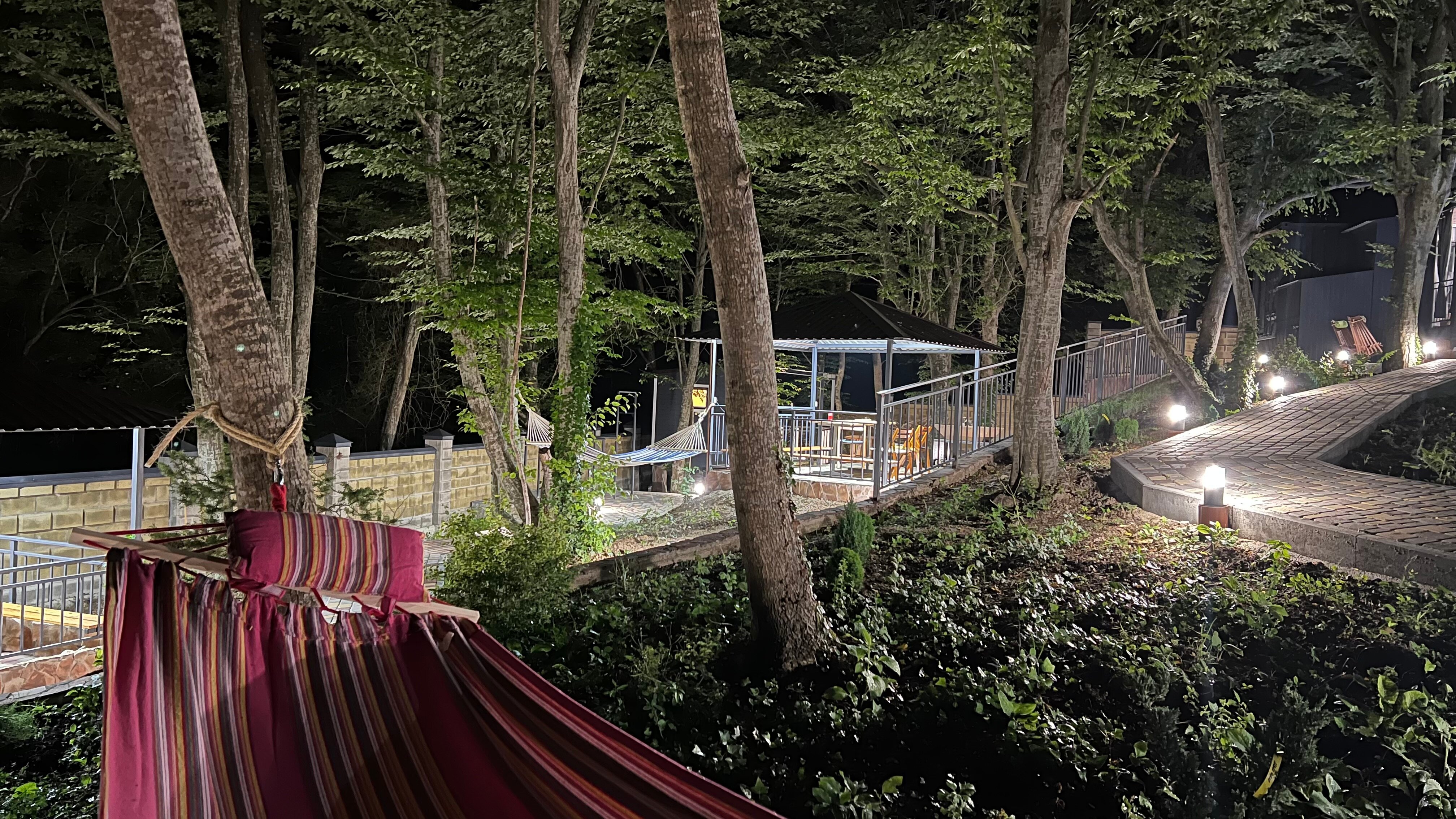 Фото Forest Dreams