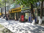 Astra-Lombard (Shoqan Ýálıhanov kóshesi, 184), pawnshop