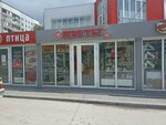 Ассорти (Pesochnya District, Zubkovoy Street, 25А), flower shop