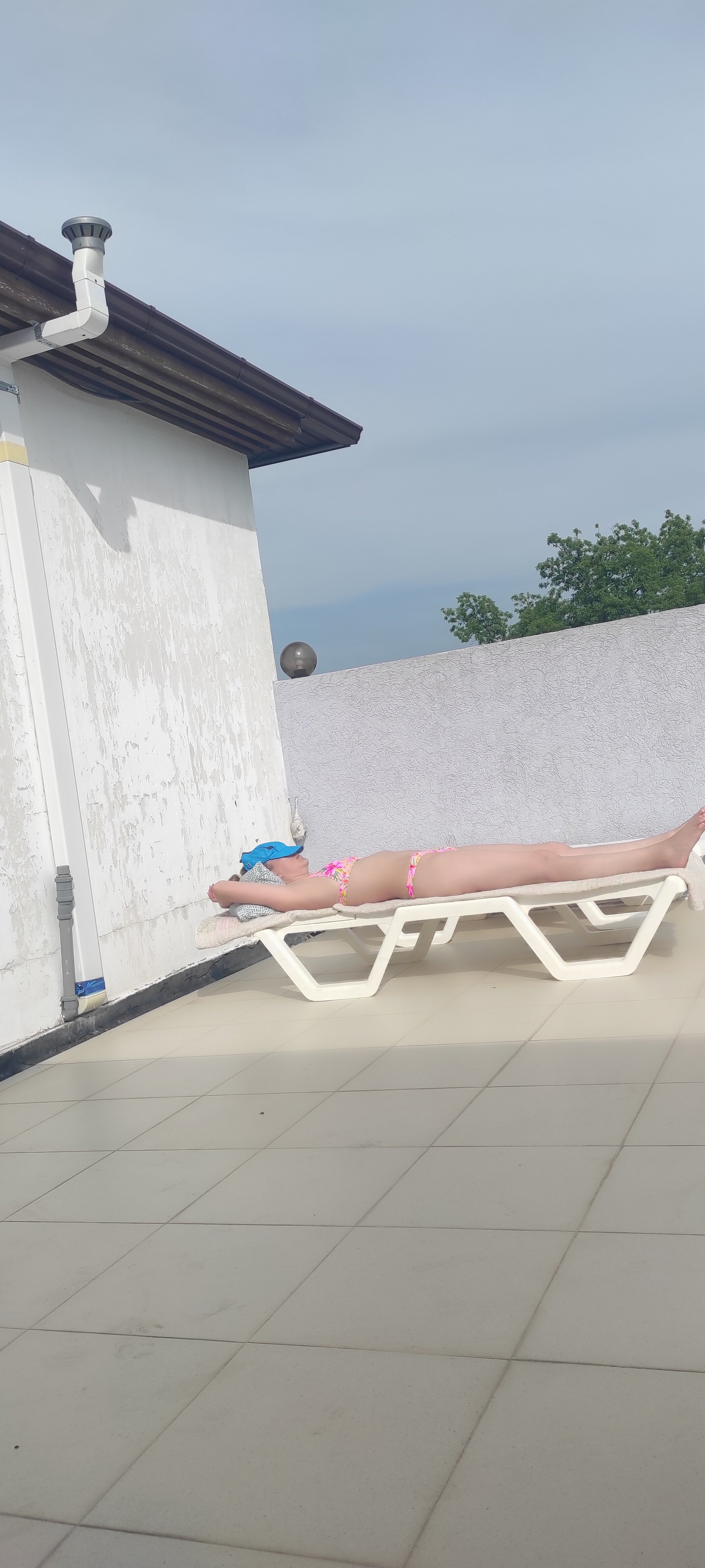 Фото Гиацинт