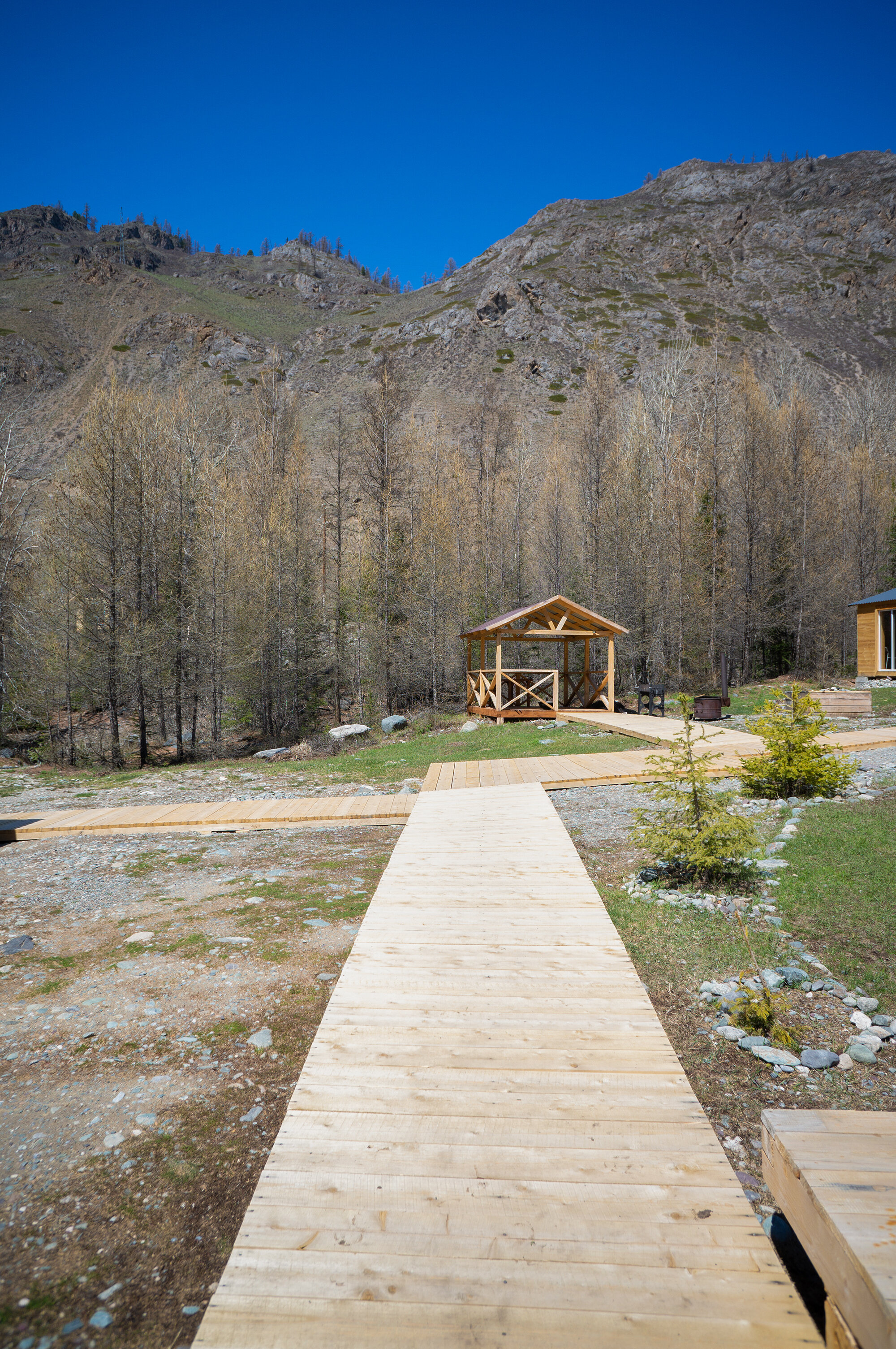 Фото Алатау