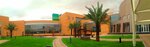 Twam Agriculture (25, Al Mawkib Street, E16-01, Abu Dhabi), landscaping of premises
