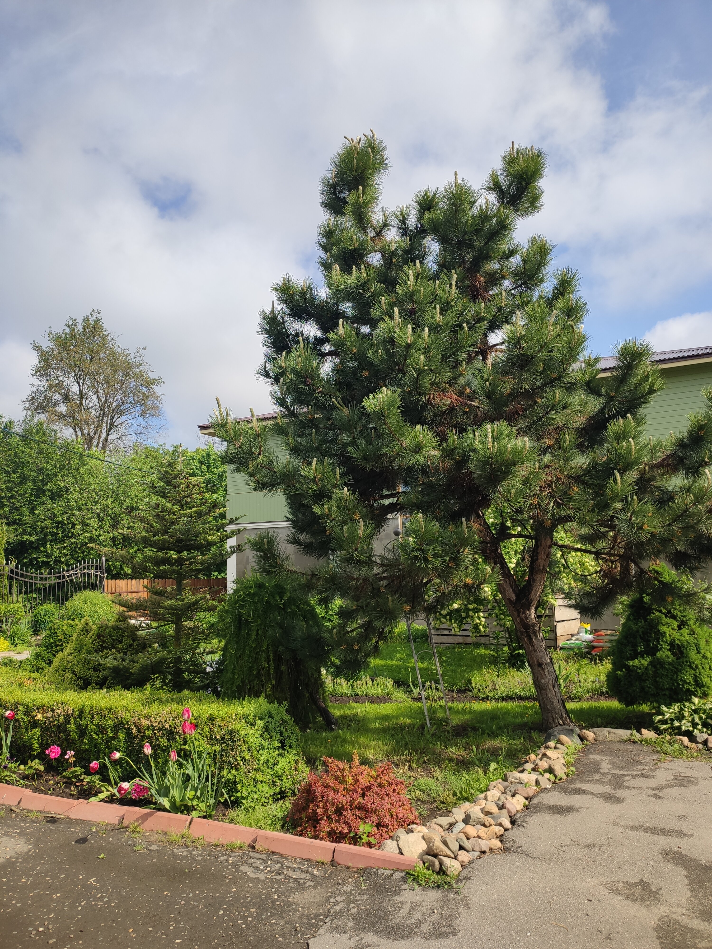 Фото Волшебный сад