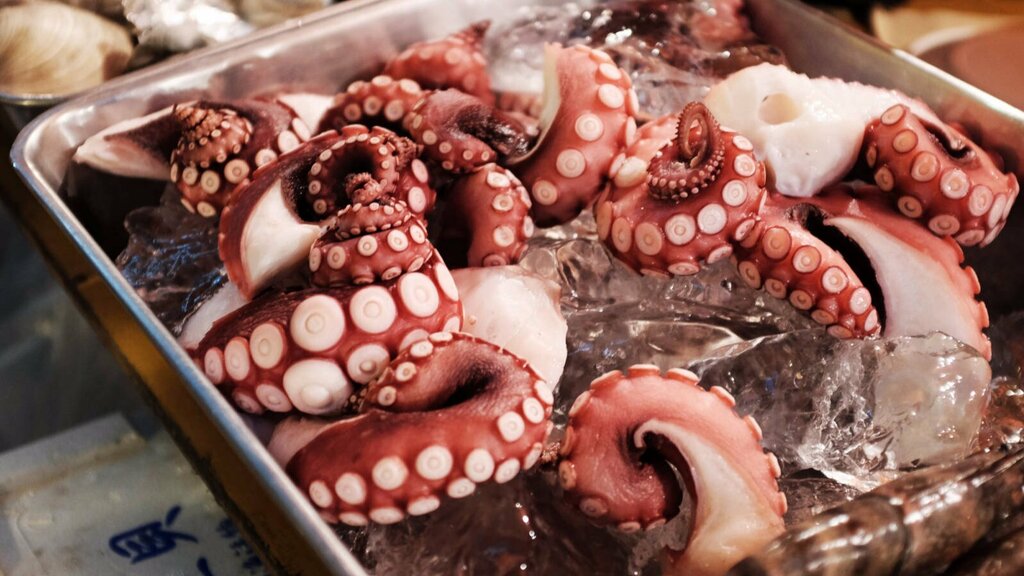 Fish and seafood Seahaven General Trading Company, Ajman, photo