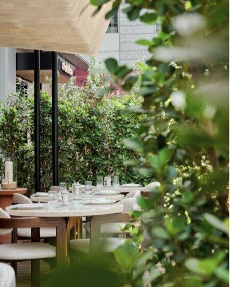 Restaurant Avli by Tashas, Dubai, photo
