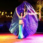 Tour Dubai (225, Abdullah Omran Taryam Street, Al Thanyah First, Hadaeq Mohammed Bin Rashid, Dubai), hotel reservations