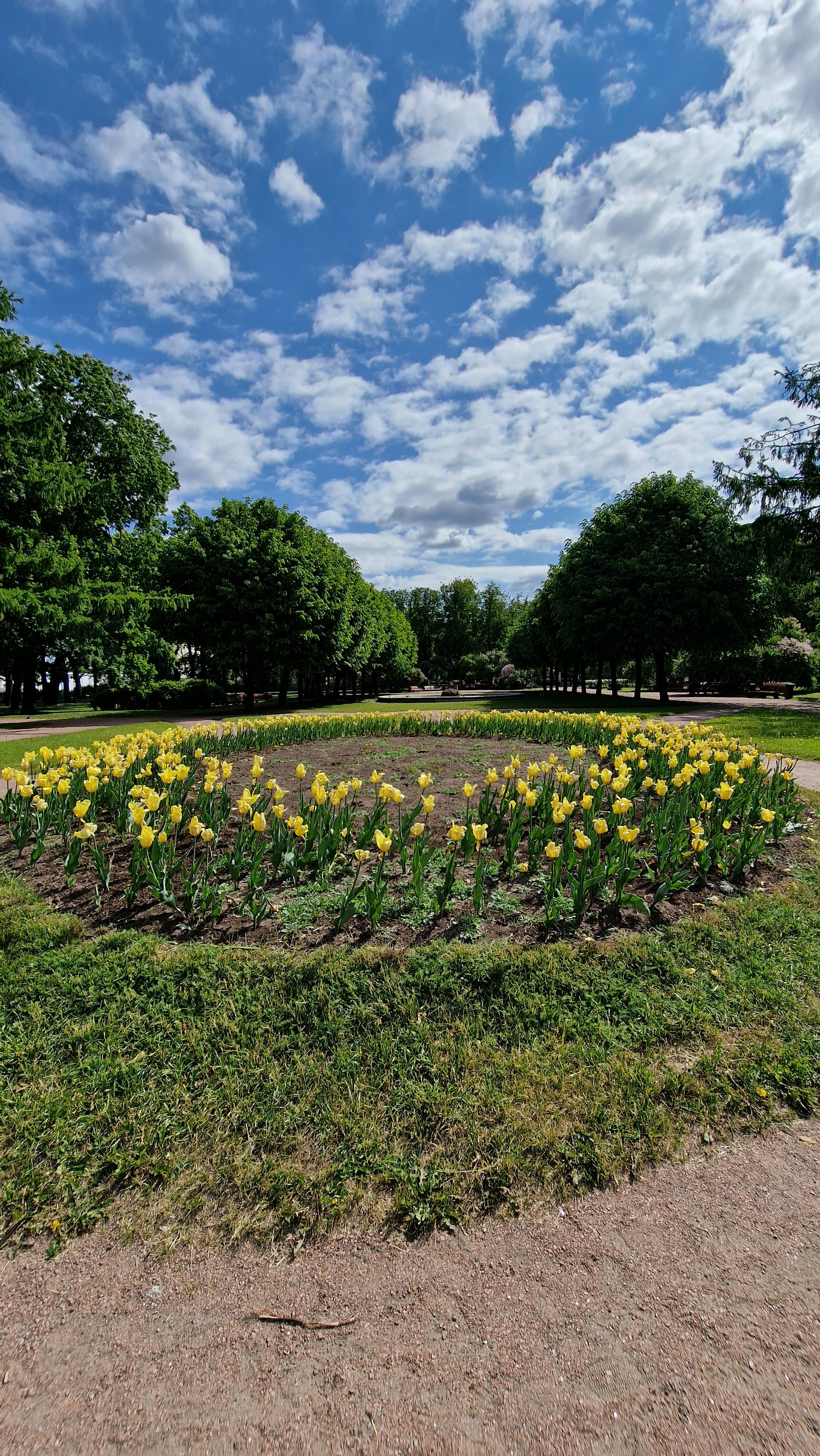 Фото Таврическая