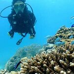 Sandy Beach Dive Centre (55/8, Dibba-Khor Fakkan Road, Dibba Village West, Dibba Al Fujairah), diving