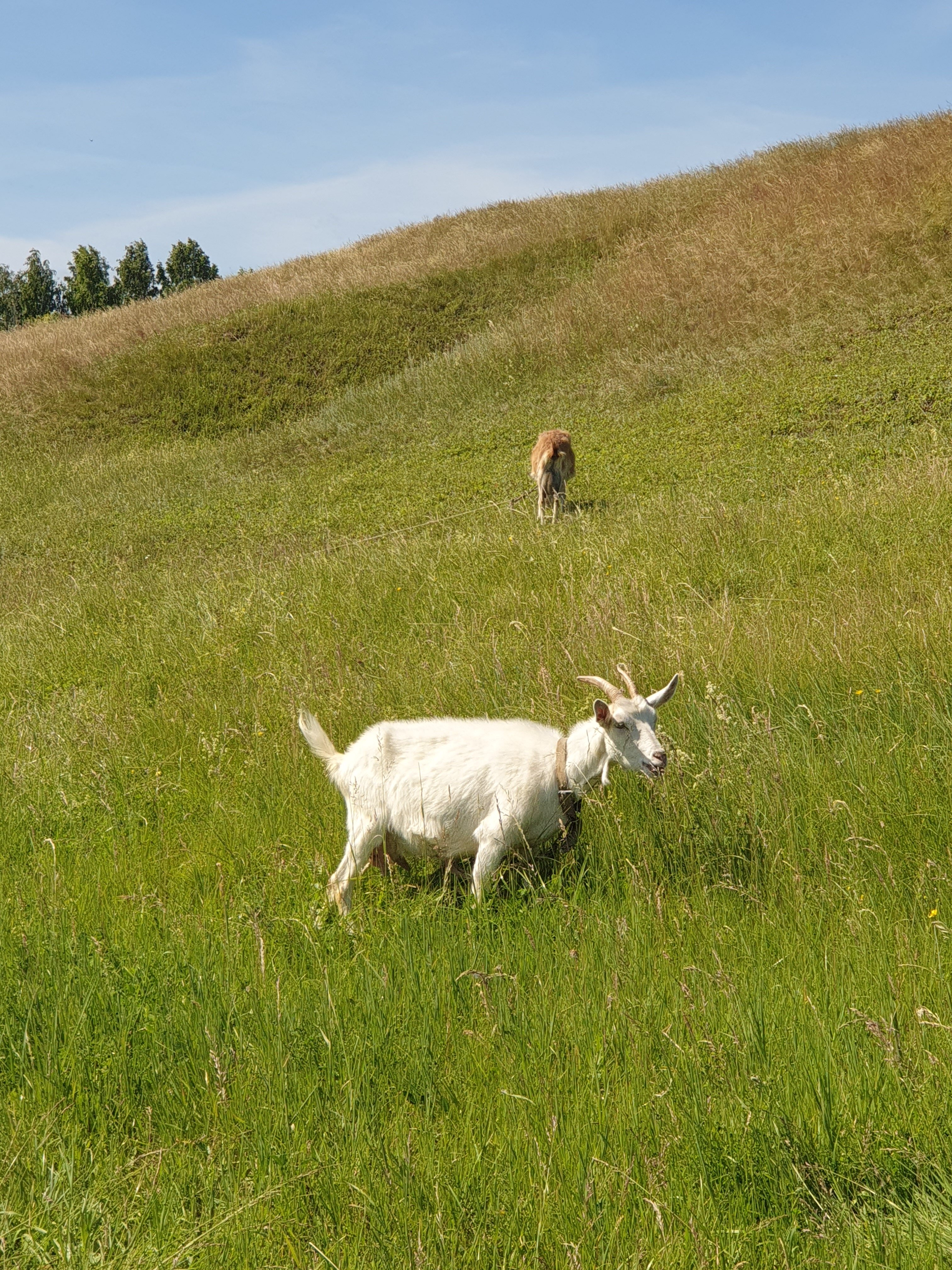 Фото Заповедное Прибрежье