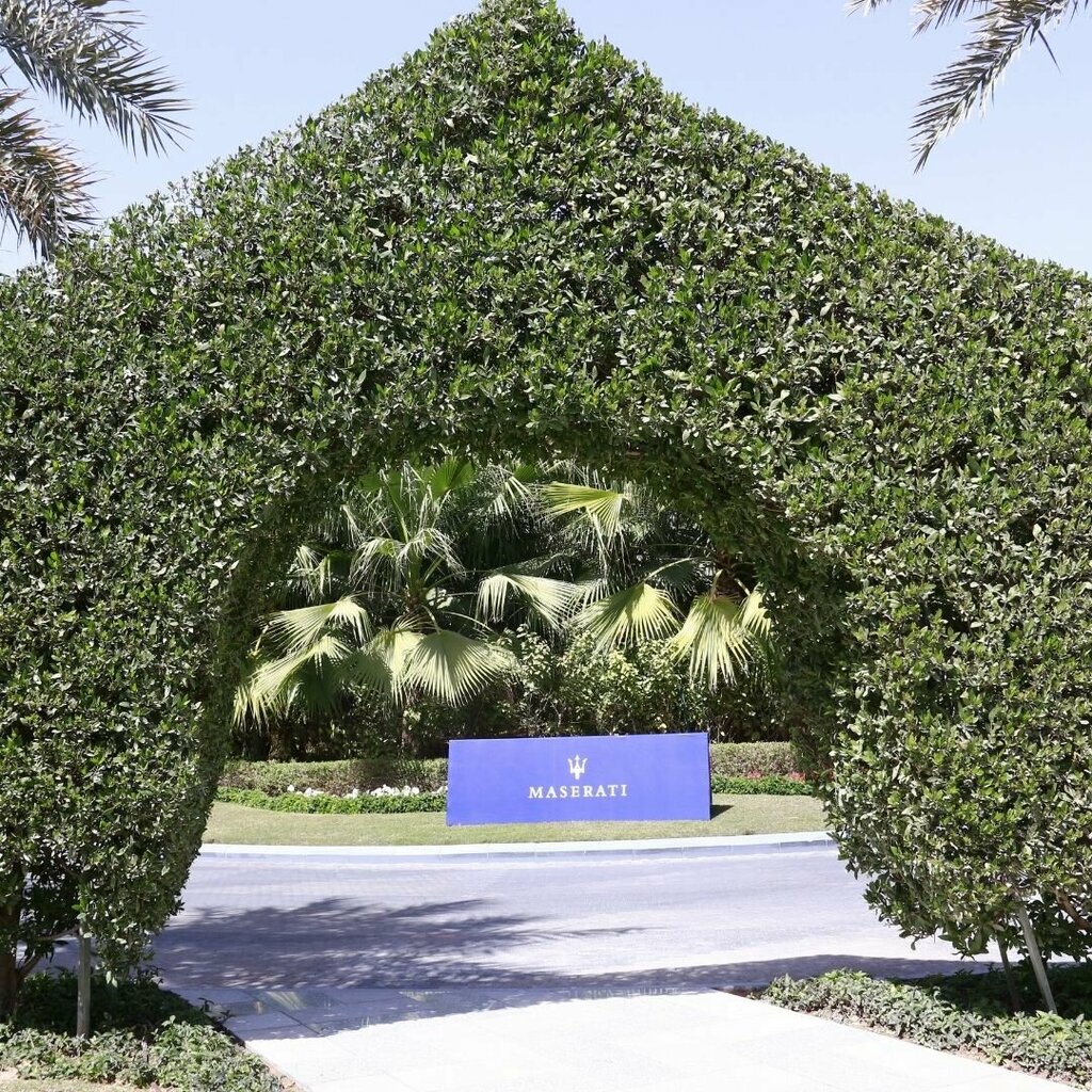 Advertising agency Marketing Impact Solution, Dubai, photo