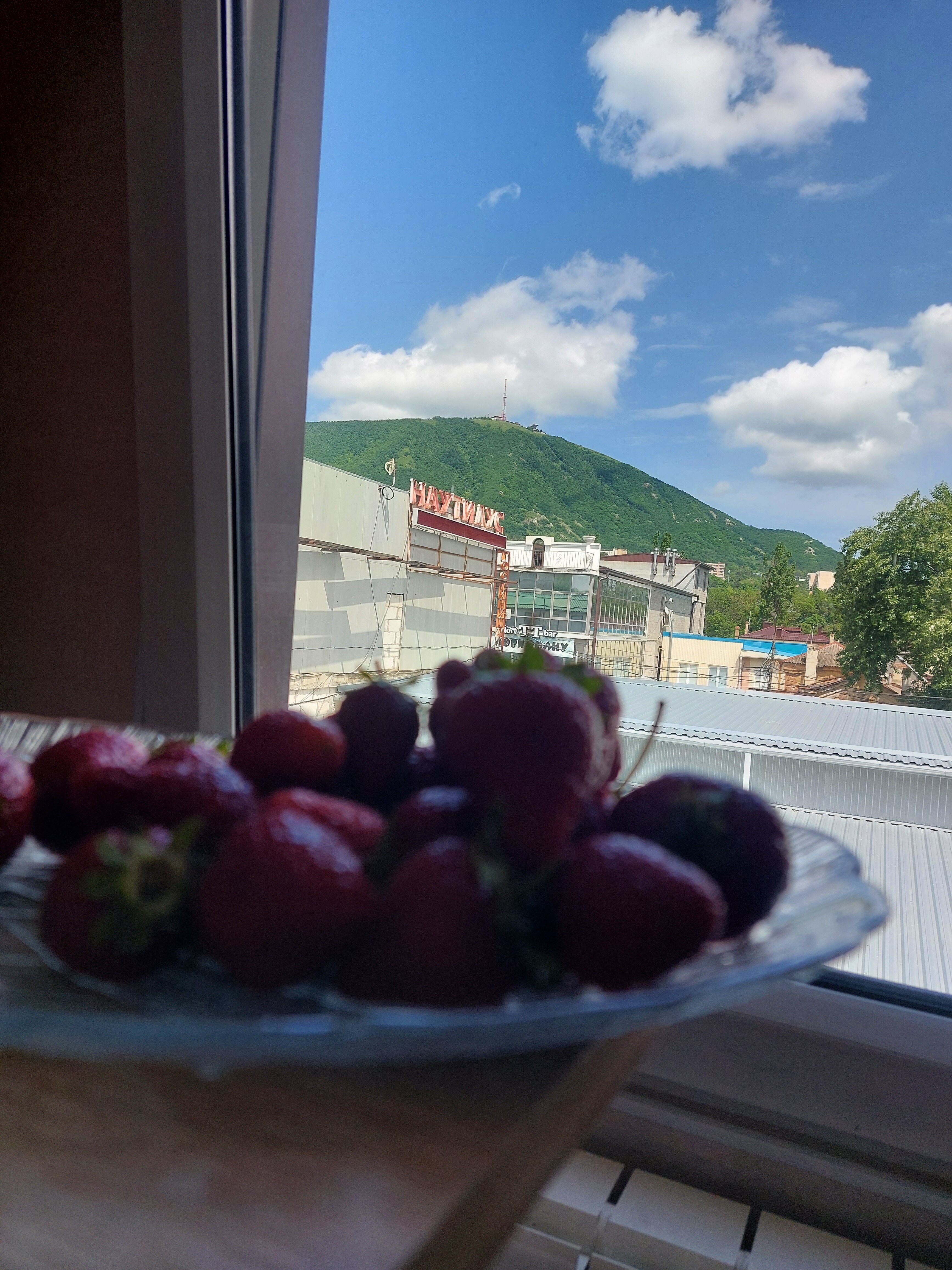 Фото Наутилус