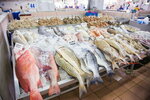 Fresh Fishing Fish Trading (Mushrif Mall, E32, Abu Dhabi), fish and seafood