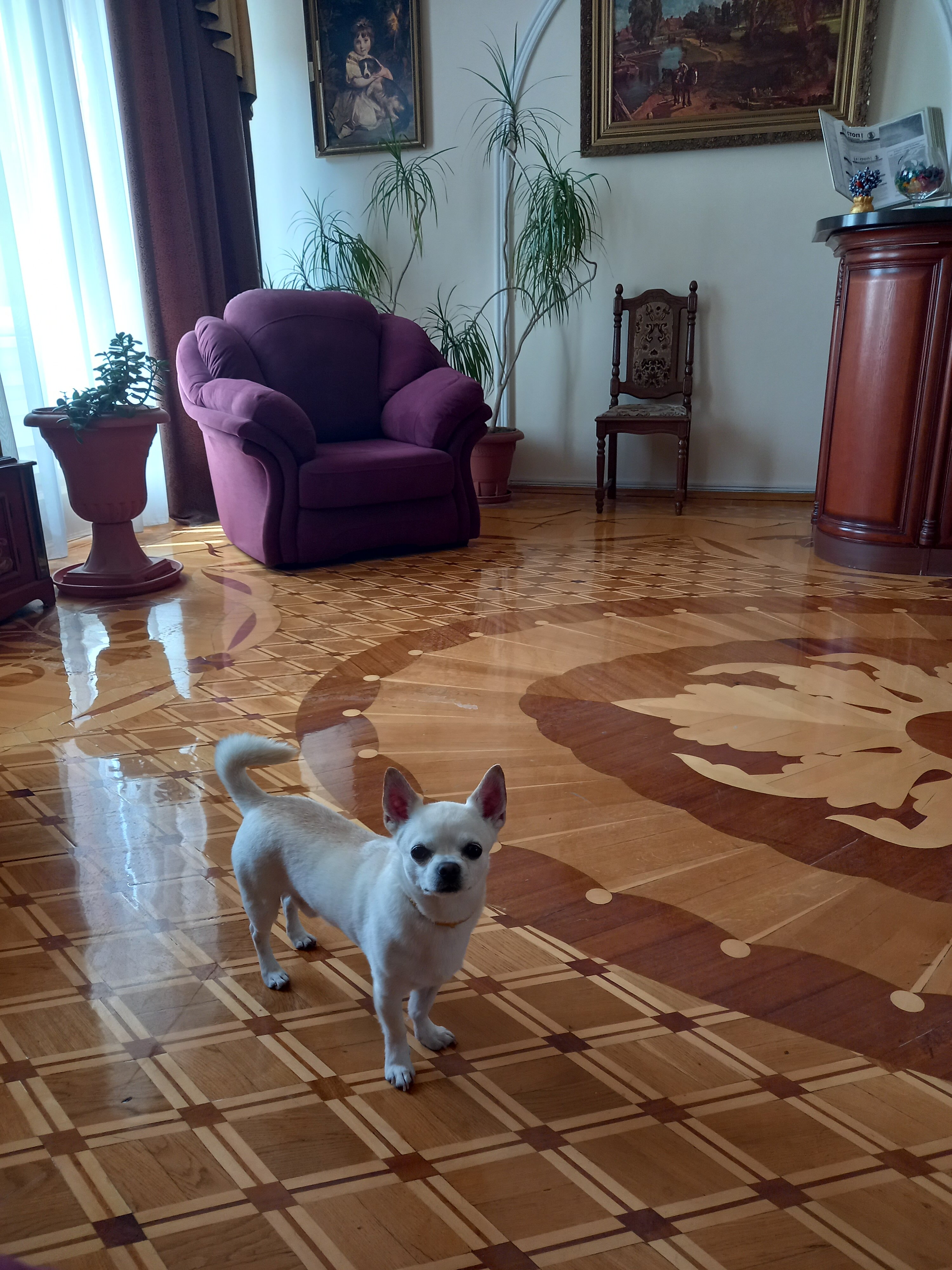 Фото Family house