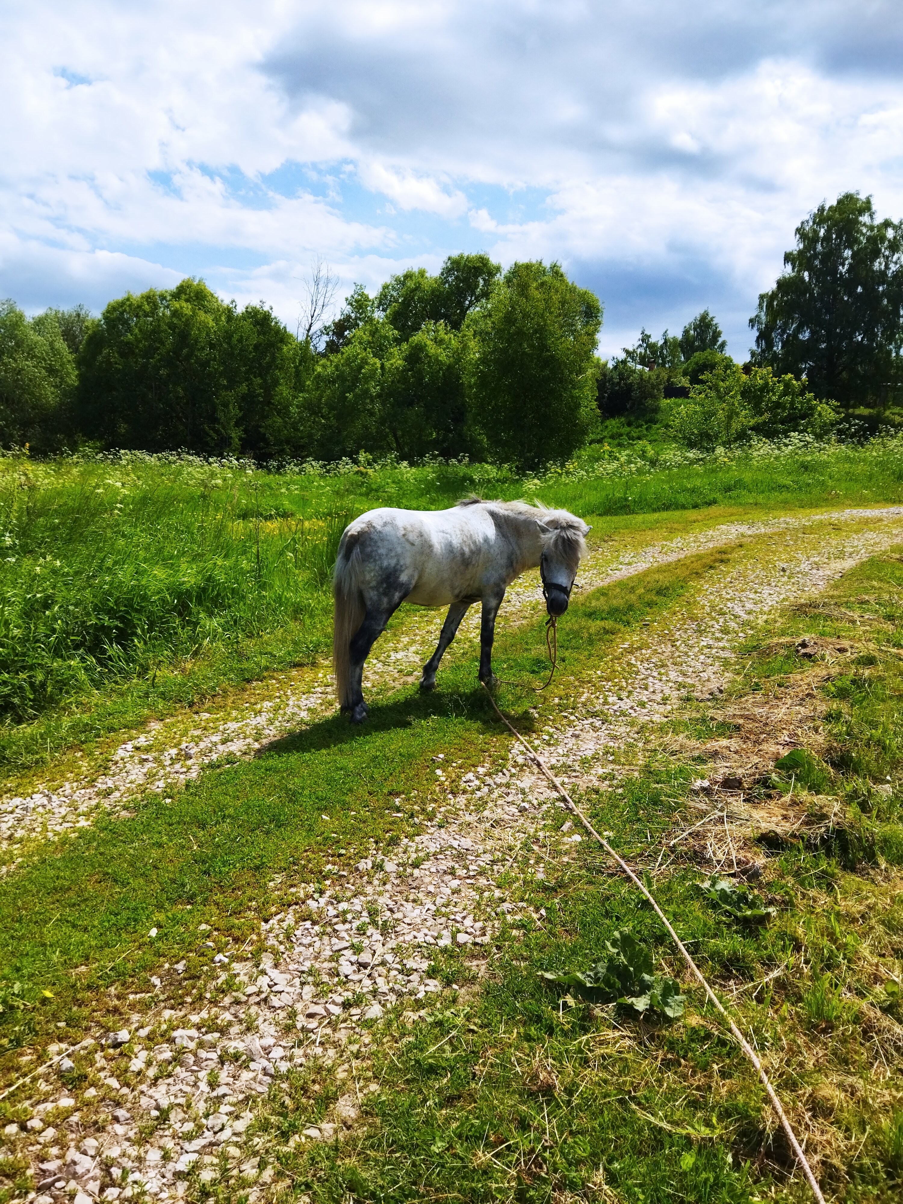 Фото Усадьба Бёхово