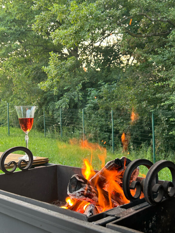 Фото Стрижи