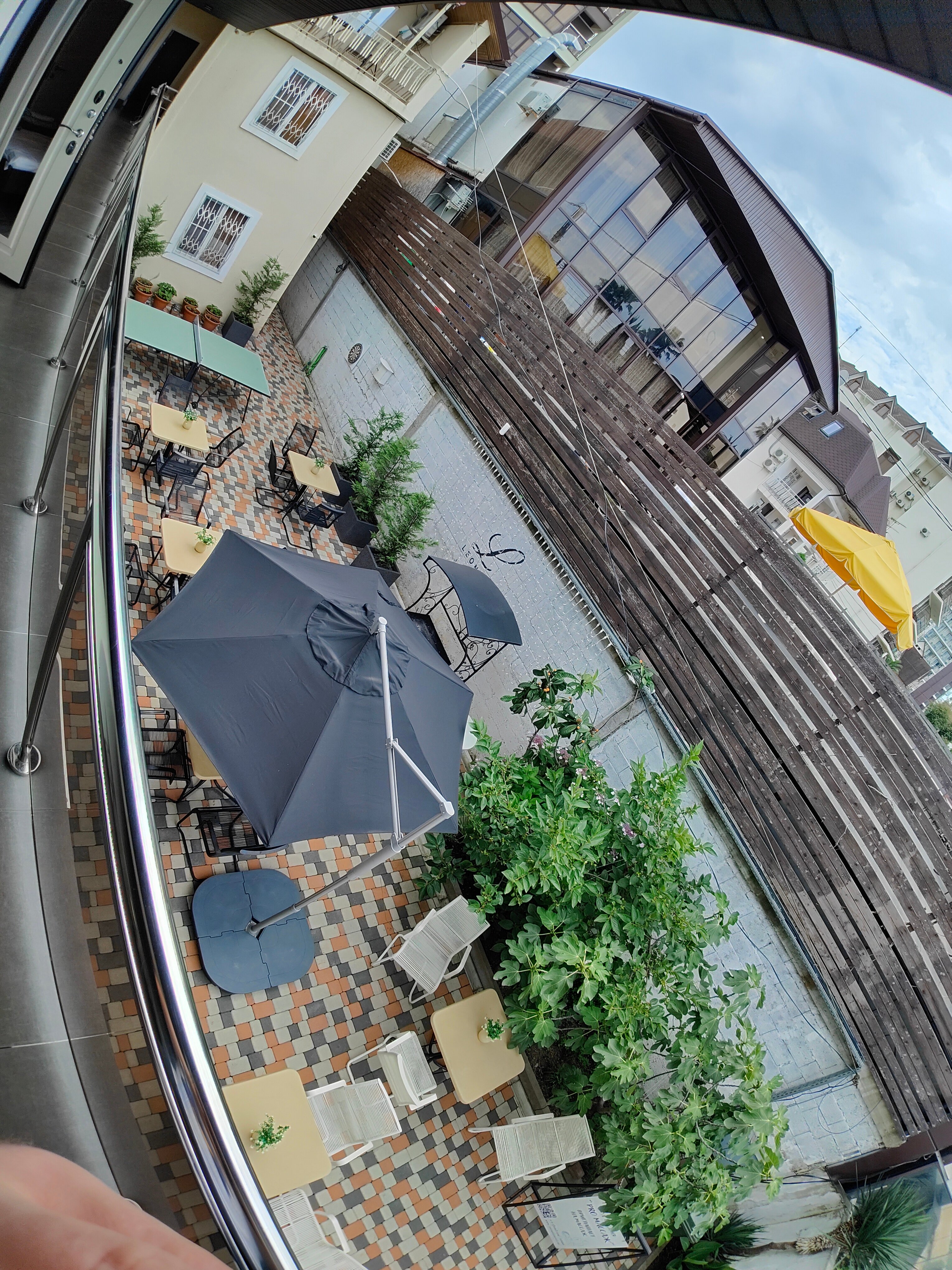 Фото Леонардо