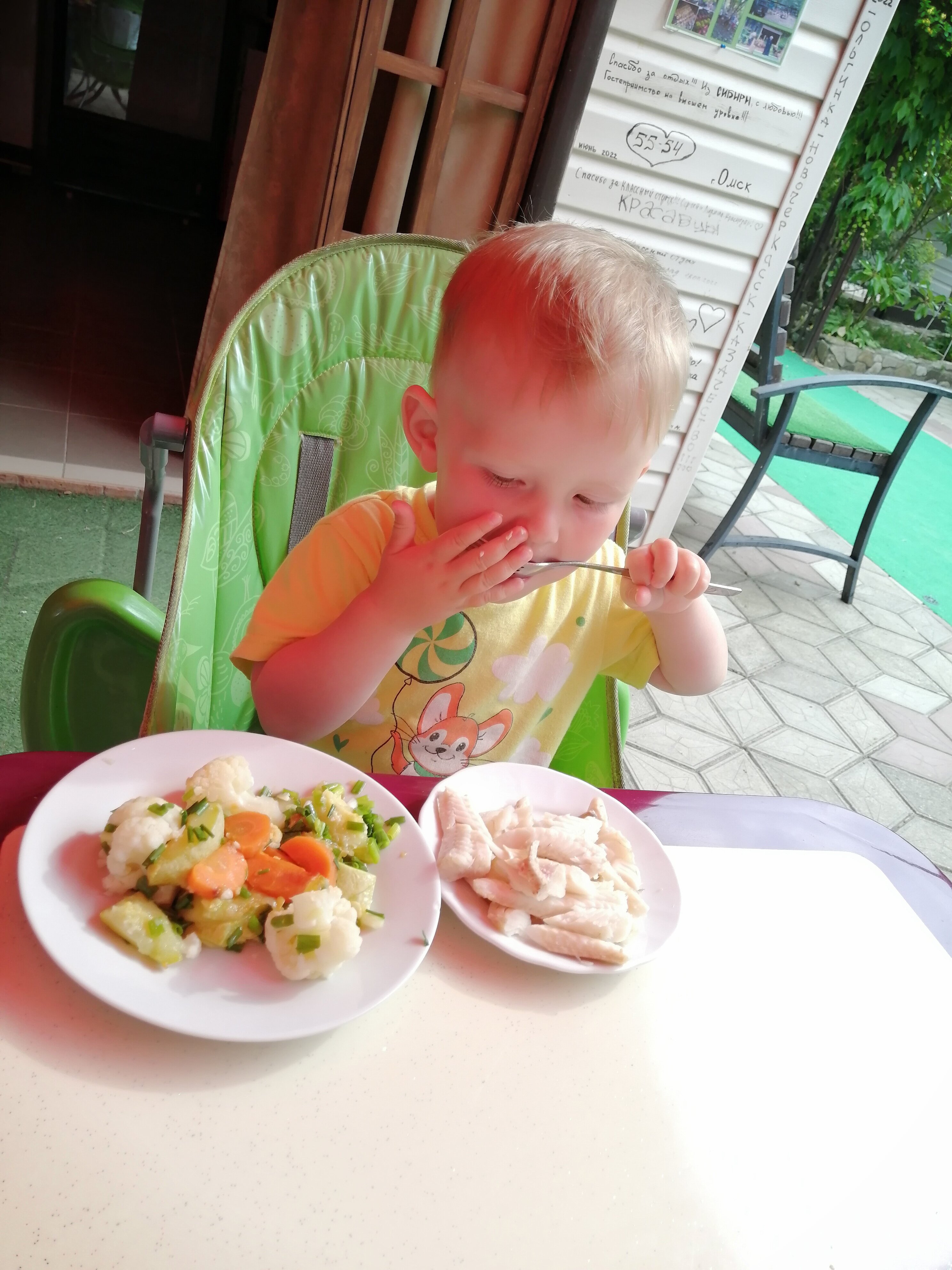 Фото Камелия